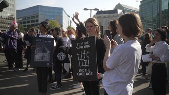 Lady holding her hand up with the End the Cage Age logo drawn on her palm.